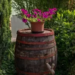 Park Appartement Hévíz