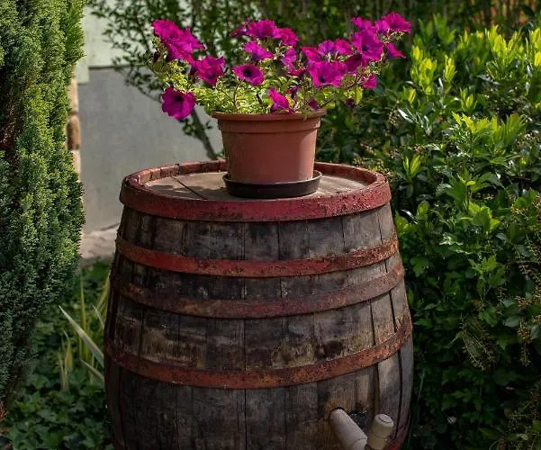 Park Apartamento Hévíz